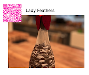 QR code in the upper left with image on the lower right