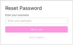 Reset password